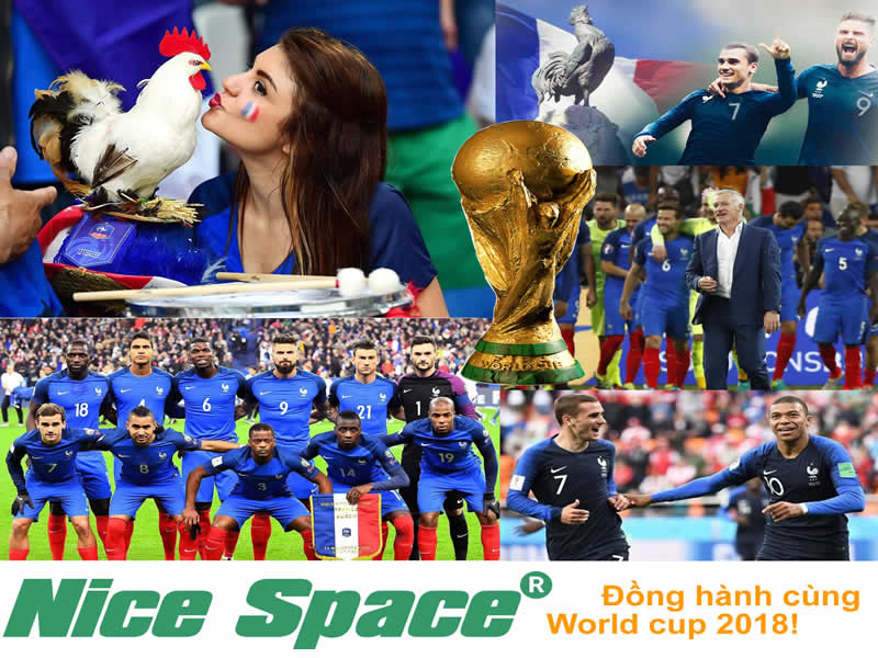 Hãng sơn Nice Space - Tổng kết World cup 2018